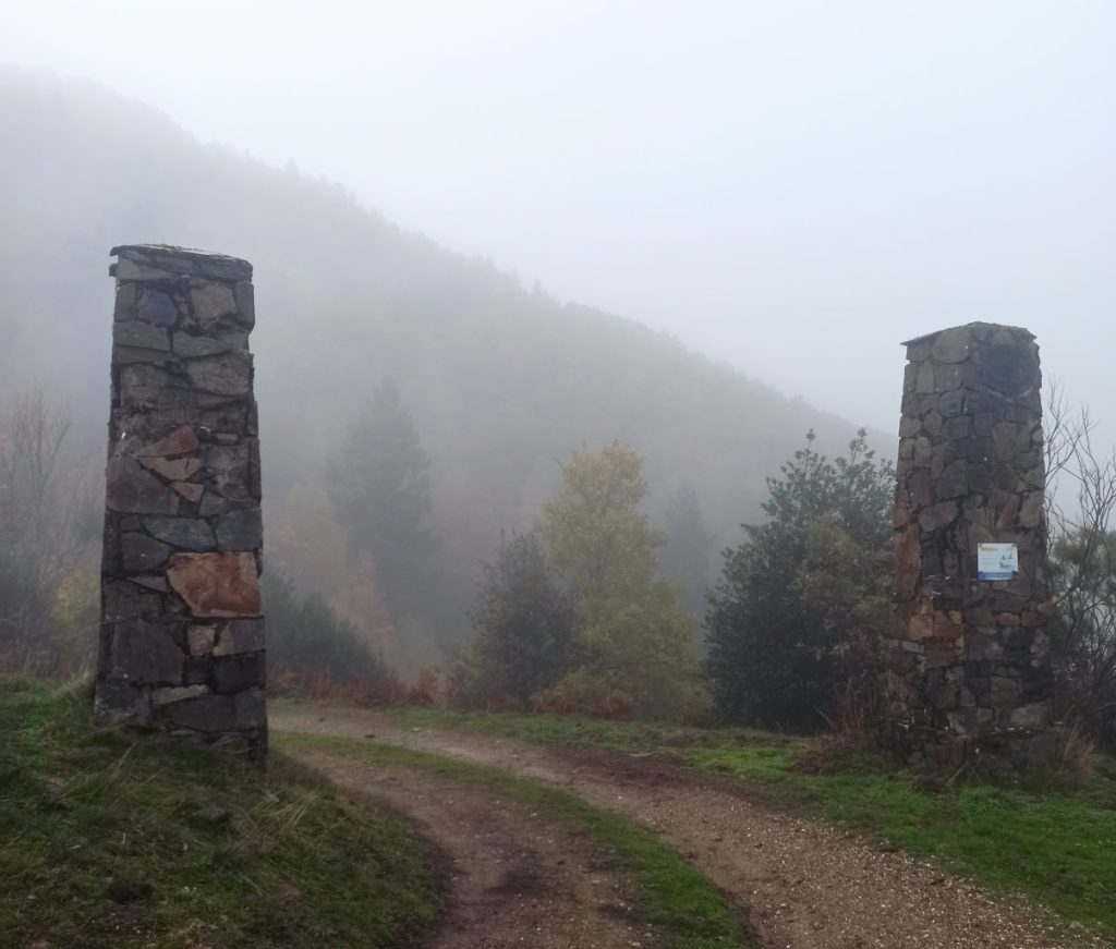 Bosques crestas y vistas...